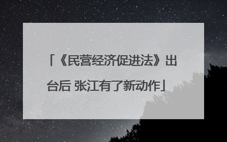 《民营经济促进法》出台后 张江有了新动作