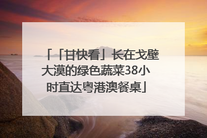 「甘快看」长在戈壁大漠的绿色蔬菜38小时直达粤港澳餐桌