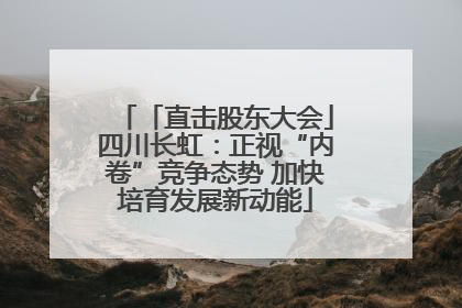 「直击股东大会」四川长虹：正视“内卷”竞争态势 加快培育发展新动能