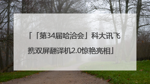 「第34届哈洽会」科大讯飞携双屏翻译机2.0惊艳亮相
