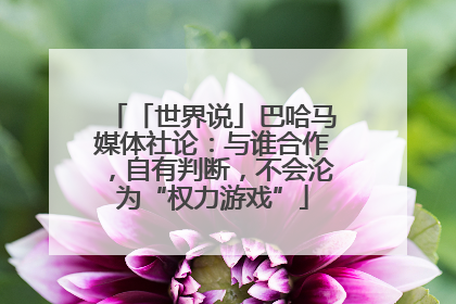 「世界说」巴哈马媒体社论：与谁合作，自有判断，不会沦为“权力游戏”