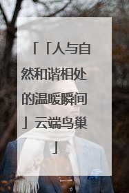 「人与自然和谐相处的温暖瞬间」云端鸟巢