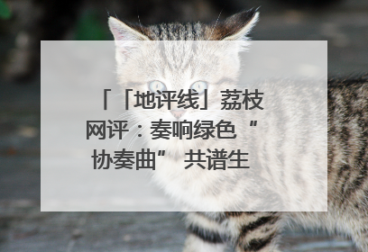 「地评线」荔枝网评：奏响绿色“协奏曲” 共谱生态“新乐章”