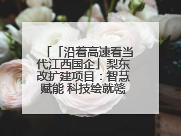 「沿着高速看当代江西国企」梨东改扩建项目：智慧赋能 科技绘就赣鄱交通新图景
