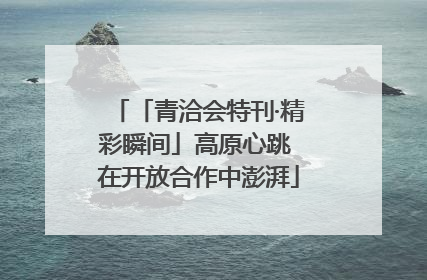 「青洽会特刊·精彩瞬间」高原心跳 在开放合作中澎湃