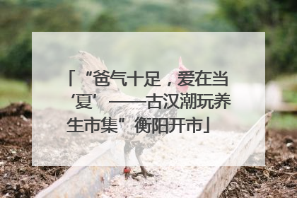 “爸气十足，爱在当‘夏’——古汉潮玩养生市集”衡阳开市