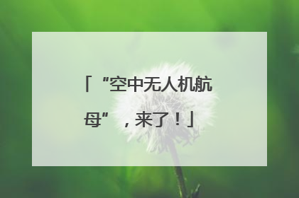 “空中无人机航母”，来了！