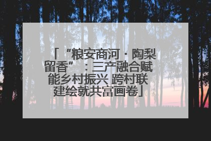 “粮安商河・陶梨留香”：三产融合赋能乡村振兴 跨村联建绘就共富画卷