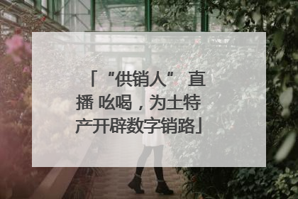 “供销人” 直播 吆喝，为土特产开辟数字销路