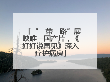“一带一路”展映唯一国产片，《好好说再见》深入疗护病房