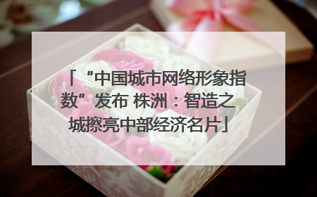 “中国城市网络形象指数”发布 株洲：智造之城擦亮中部经济名片