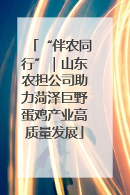 “伴农同行”｜山东农担公司助力菏泽巨野蛋鸡产业高质量发展