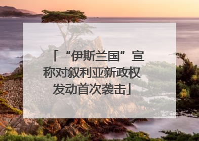“伊斯兰国”宣称对叙利亚新政权发动首次袭击