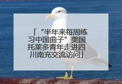 “半年来每周练习中国曲子”美国托莱多青年走进四川南充交流访问