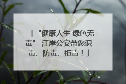 “健康人生 绿色无毒” 江岸公安带您识毒、防毒、拒毒！