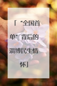 “全国首单”背后的淄博民生情怀