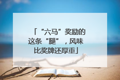 “六马”奖励的这条“腿”，风味比奖牌还厚重