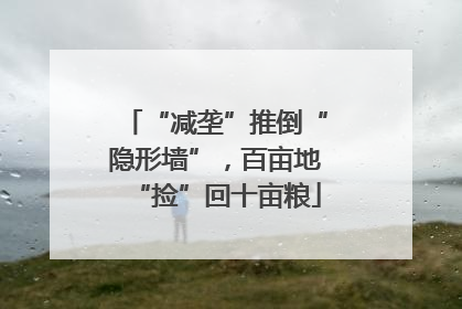 “减垄”推倒“隐形墙”，百亩地“捡”回十亩粮