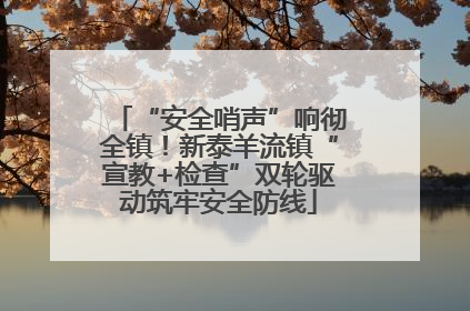 “安全哨声”响彻全镇！新泰羊流镇“宣教+检查”双轮驱动筑牢安全防线