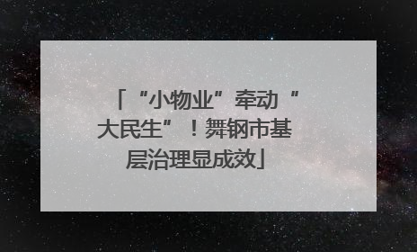 “小物业”牵动“大民生”！舞钢市基层治理显成效