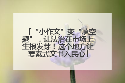 “小作文”变“填空题”，让法治在市场上生根发芽！这个地方让要素式文书入民心