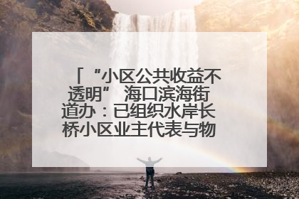 “小区公共收益不透明” 海口滨海街道办：已组织水岸长桥小区业主代表与物业进行座谈
