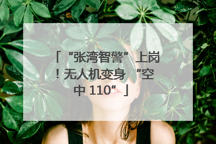 “张湾智警”上岗！无人机变身 “空中 110”