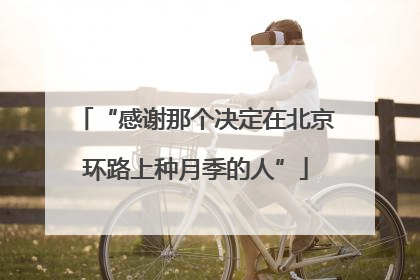 “感谢那个决定在北京环路上种月季的人”