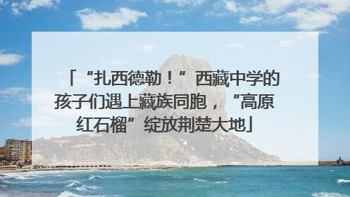 “扎西德勒！”西藏中学的孩子们遇上藏族同胞，“高原红石榴”绽放荆楚大地