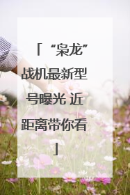 “枭龙”战机最新型号曝光 近距离带你看