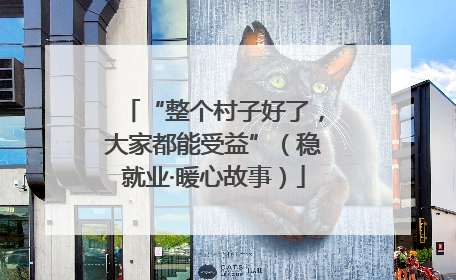 “整个村子好了，大家都能受益”（稳就业·暖心故事）
