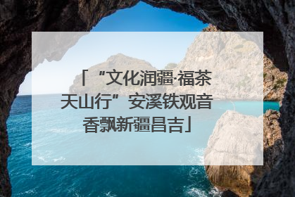 “文化润疆·福茶天山行”安溪铁观音香飘新疆昌吉
