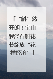 “斛”然开朗！宝山罗泾石斛花节绽放“花样经济”