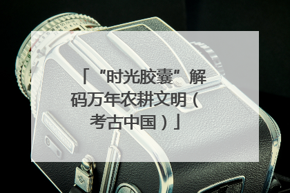 “时光胶囊”解码万年农耕文明（考古中国）