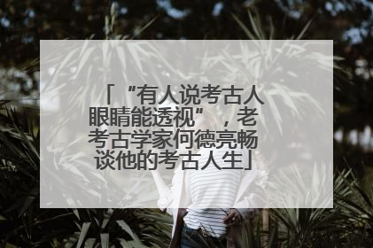 “有人说考古人眼睛能透视”，老考古学家何德亮畅谈他的考古人生