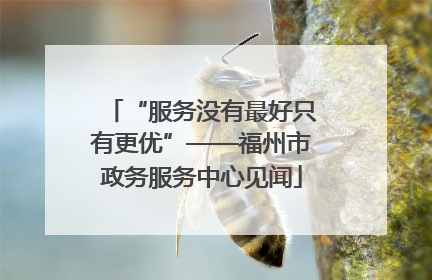 “服务没有最好只有更优”——福州市政务服务中心见闻