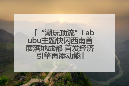 “潮玩顶流”Labubu主题快闪西南首展落地成都 首发经济引擎再添动能