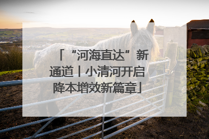 “河海直达”新通道丨小清河开启降本增效新篇章