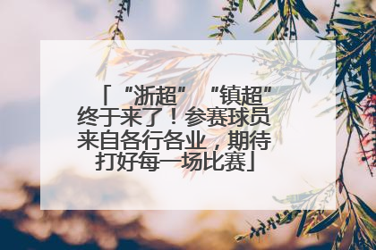 “浙超”“镇超”终于来了！参赛球员来自各行各业，期待打好每一场比赛