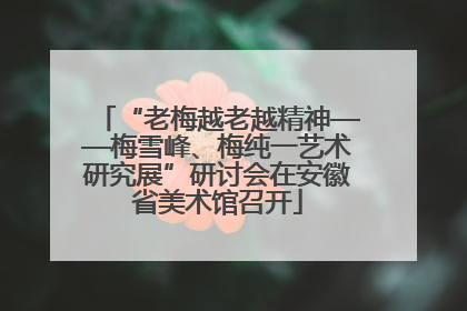 “老梅越老越精神——梅雪峰、梅纯一艺术研究展”研讨会在安徽省美术馆召开