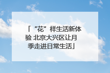 “花”样生活新体验 北京大兴区让月季走进日常生活