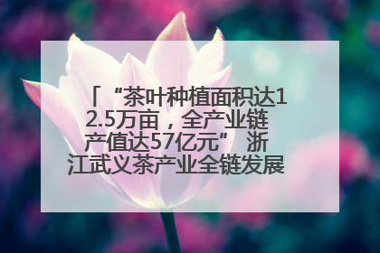“茶叶种植面积达12.5万亩，全产业链产值达57亿元” 浙江武义茶产业全链发展“加速度”