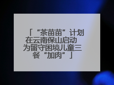 “茶苗苗”计划在云南保山启动 为留守困境儿童三餐“加肉”