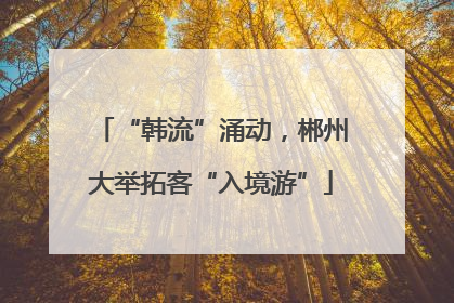 “韩流”涌动，郴州大举拓客“入境游”