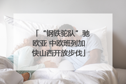 “钢铁驼队”驰欧亚 中欧班列加快山西开放步伐