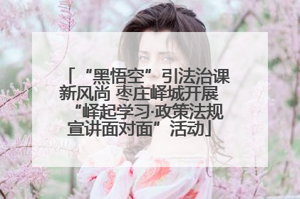 “黑悟空”引法治课新风尚 枣庄峄城开展“峄起学习·政策法规宣讲面对面”活动
