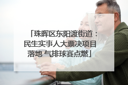 珠晖区东阳渡街道：民生实事人大票决项目落地 气排球赛点燃