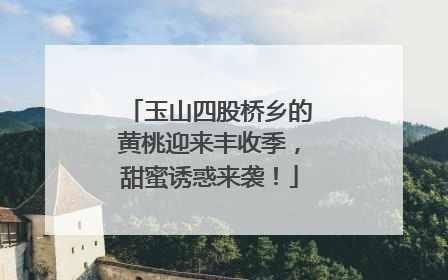 玉山四股桥乡的黄桃迎来丰收季，甜蜜诱惑来袭！