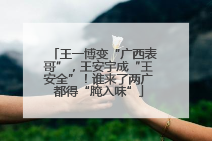王一博变“广西表哥”，王安宇成“王安全”！谁来了两广都得“腌入味”