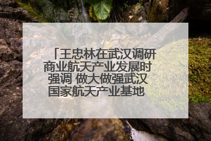 王忠林在武汉调研商业航天产业发展时强调 做大做强武汉国家航天产业基地 打造具有全国影响力的“中国星谷”